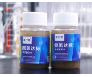 生化系統(tǒng)崩潰，氨氮超標(biāo)，我該怎么辦?