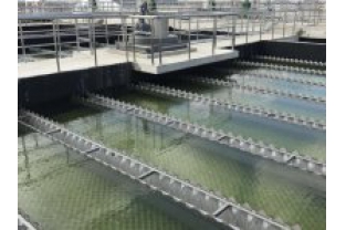 【干貨】有機(jī)物導(dǎo)致的氨氮超標(biāo)?這種情況該如何處理呢？