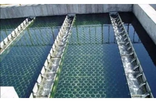 【干貨】生物濾池為什么一受沖擊氨氮去除率就會下降？