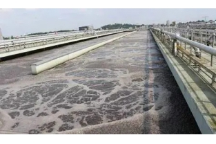 【重要】水中溶解氧越高，處理效果越好么？