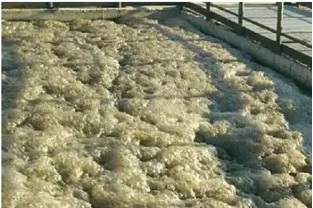 污水處理中的泡沫現象該怎么辦？