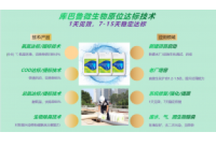 春節(jié)復(fù)工，生化系統(tǒng)快速修復(fù)，確保污水達(dá)標(biāo)排放