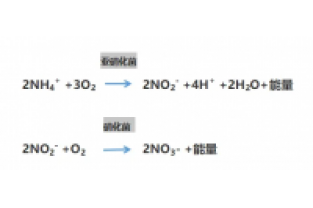 食品廢水氨氮超標(biāo)，你可以這么做