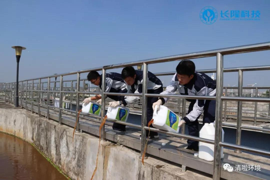 碳氮比失調(diào)，總氮超標怎么辦