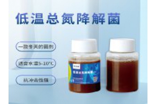 反硝化細菌在污水處理中的具體應用是什么？